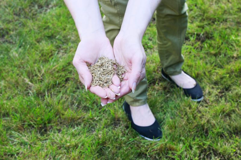 Preparing the Lawn for Winter