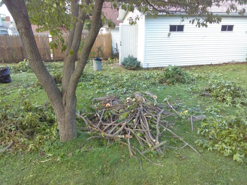 Fall Yard Cleanup Service