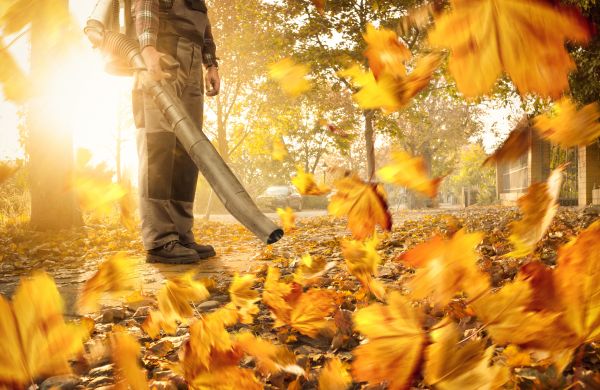 Leaf Blowing Service in Carlisle