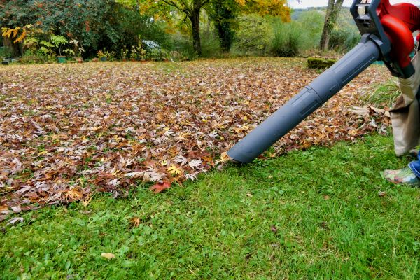 Leaf Vacuuming Service in Carlisle