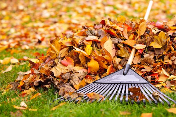 Cost of Leaves Removal in Carlisle
