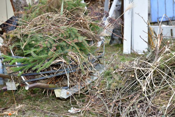 Yard Debris Removal in Carlisle