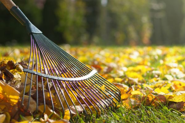 Leaf Raking Service in Carlisle