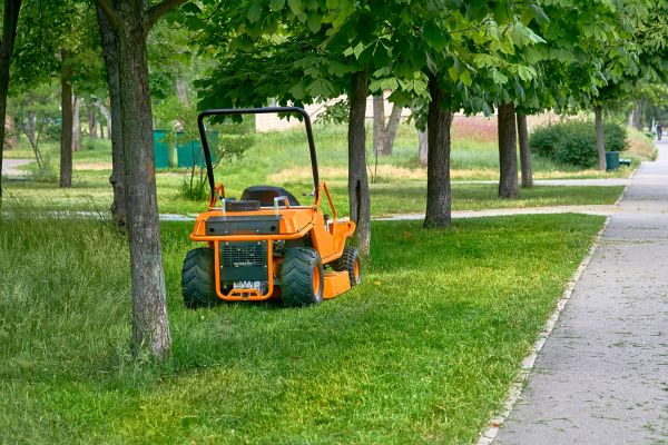 Landscaping Cleanup Service in Carlisle