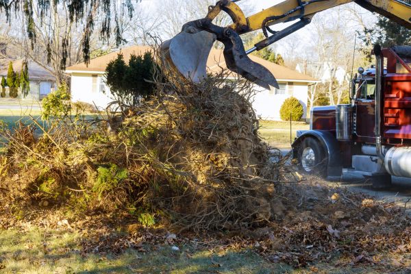 Storm Debris Removal in Carlisle