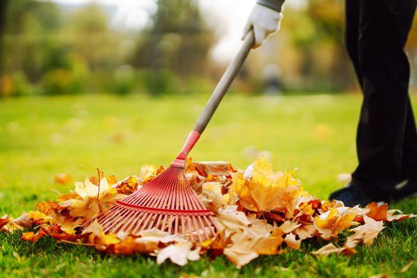 Ditch Leaf Removal in Carlisle