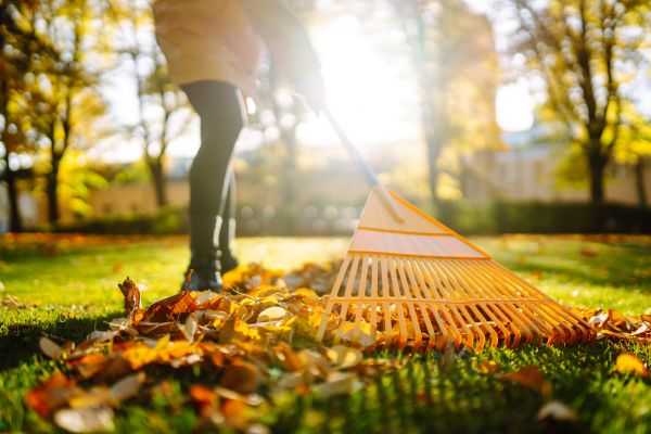 Leaves Raking in Carlisle