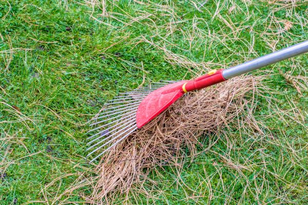 Yard Raking in Carlisle