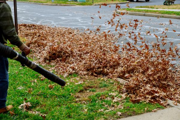 Cost of Garden Leaf Removal in Carlisle