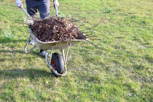 Yard Brush Removal in Carlisle