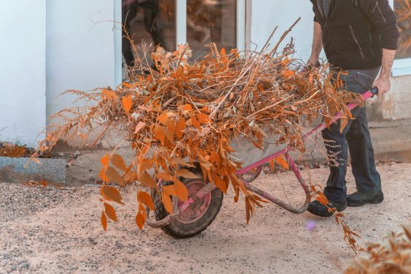 Lawn Debris Cleanup in Carlisle
