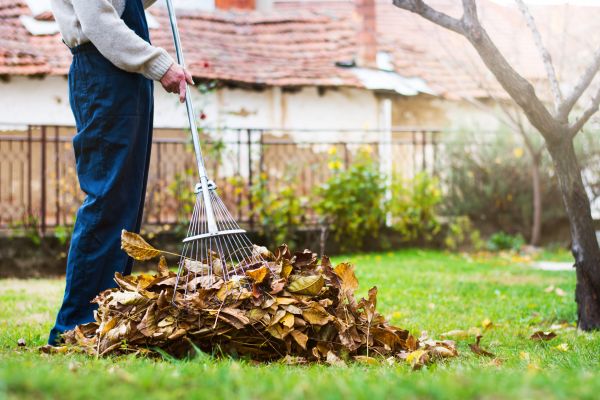 Spring Lawn Cleanup in Carlisle