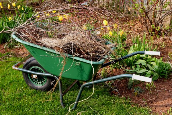 Lawn Waste Removal in Carlisle