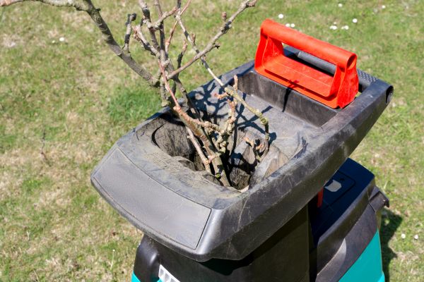 Brush Cleanup Service in Carlisle