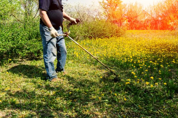 Cost of Yard Clearing Service in Carlisle