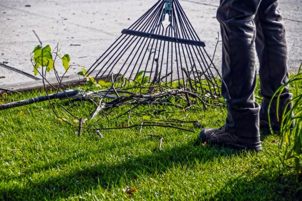 Yard Debris Cleanup in Carlisle