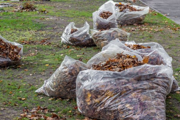 Cost of Leaf Pile Disposal in Carlisle