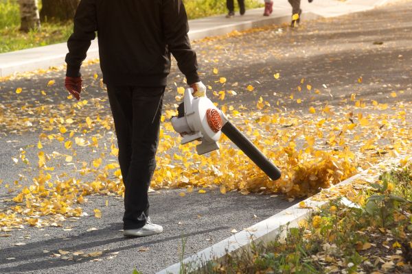 Commercial Leaf Removal in Carlisle
